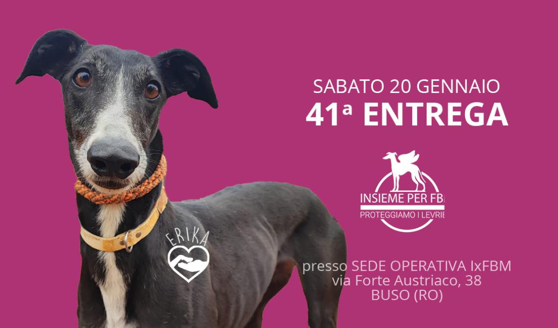  41° Entrega dei Levrieri FBM adottati