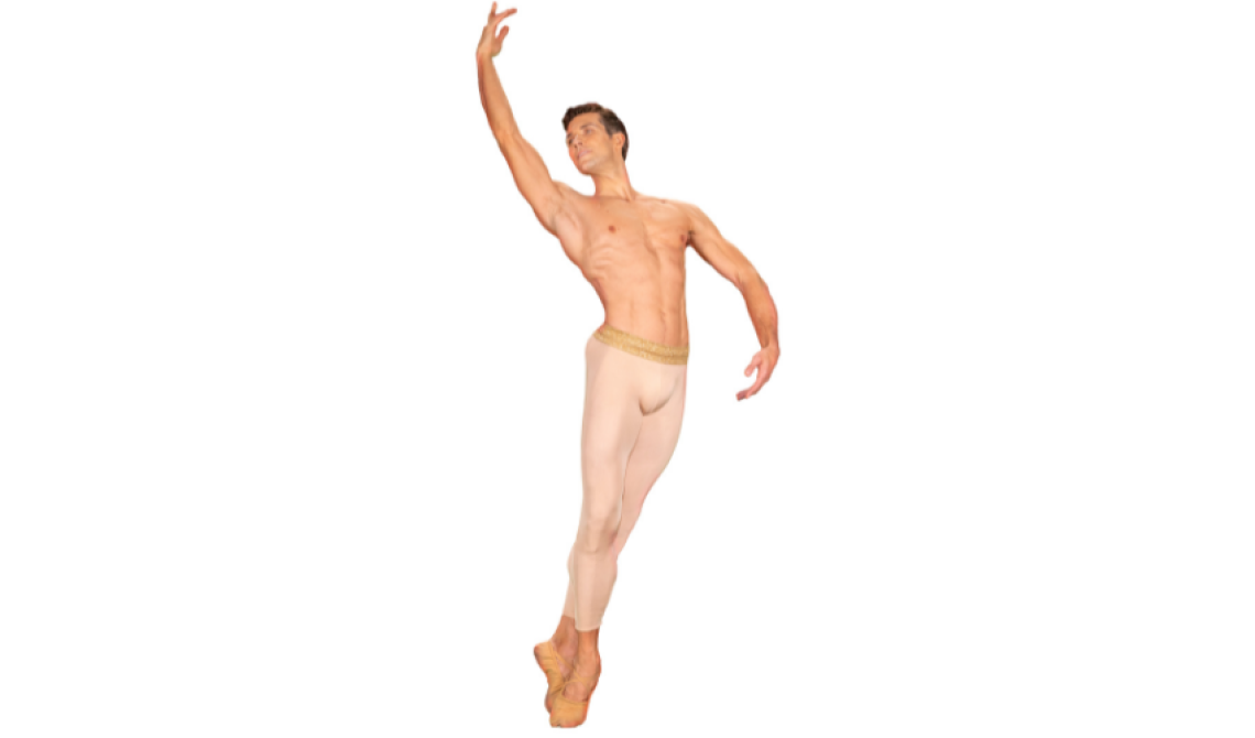 Roberto Bolle and Friends