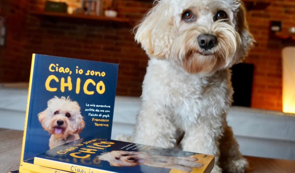 Firmacopie con Chico