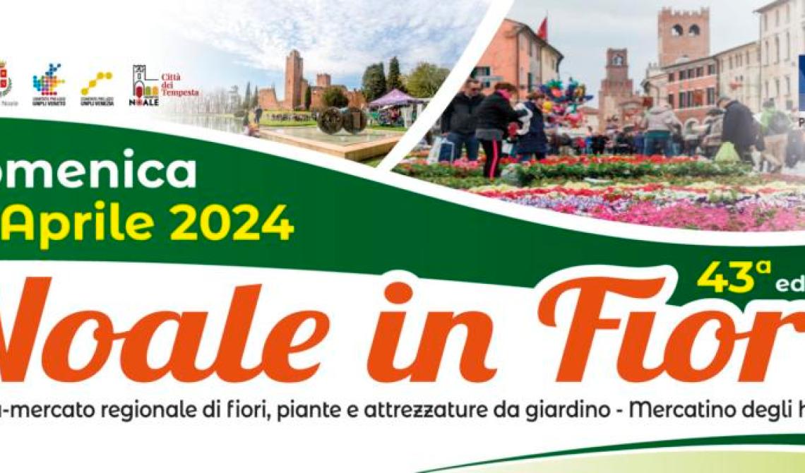 Noale in fiore