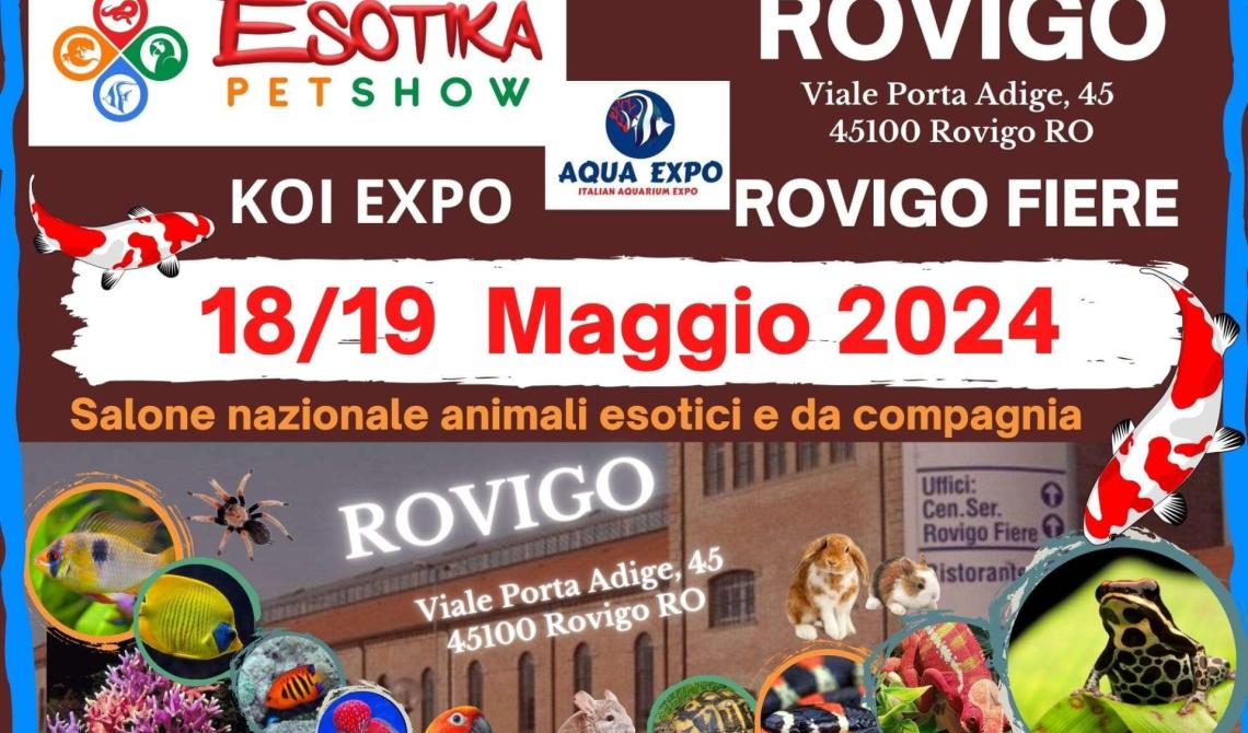 Esotika Pet Show a Rovigo