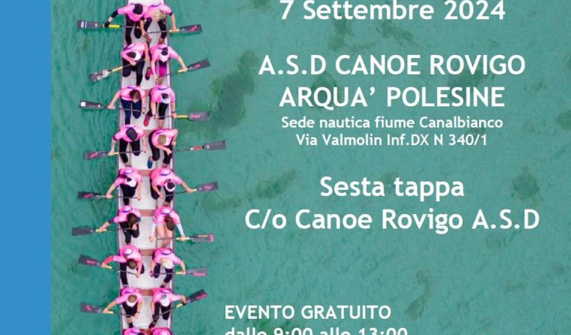 Dragon Boat - open day