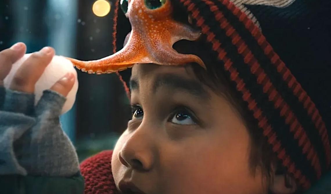 Il bambino e l'amico Polpo