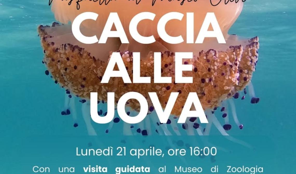 Pasquetta al museo Olivi