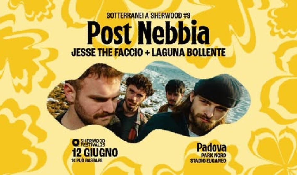 Sherwood Festival - Post Nebbia