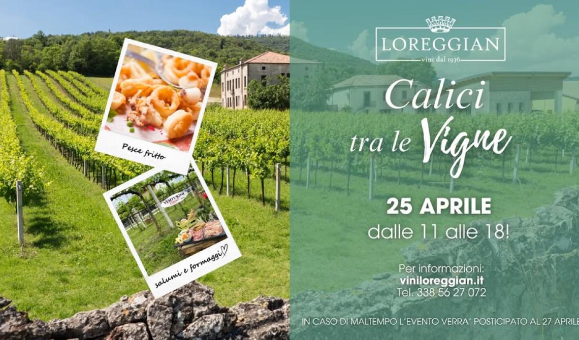 Calici tra le vigne