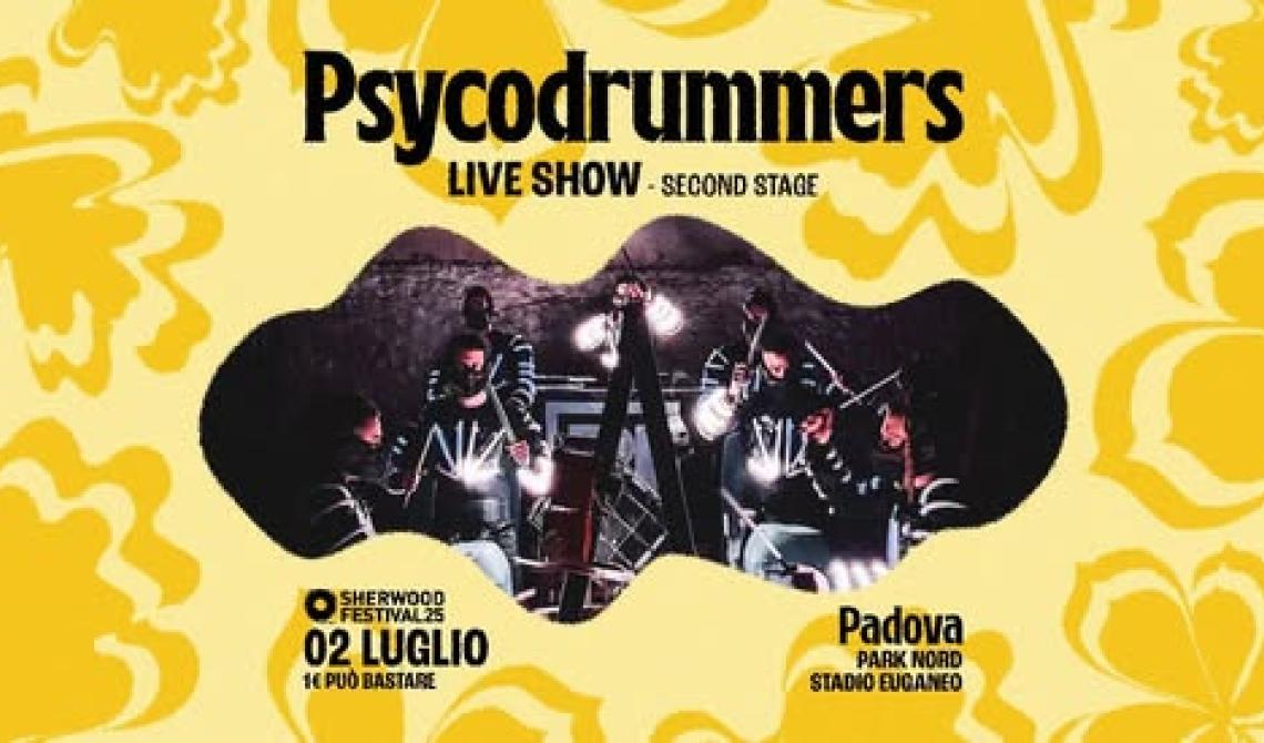 Sherwood Festival - Psycodrummers