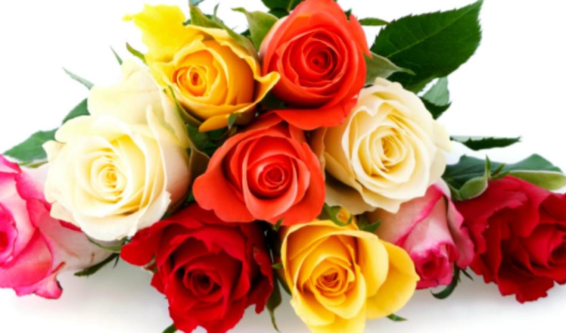 Festa delle Rose a Mossano