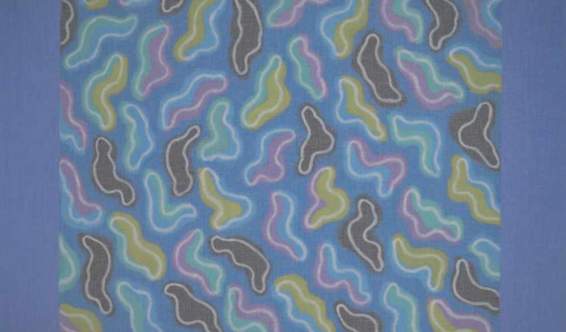 Nicola Furlan: Luci e colori filtrati