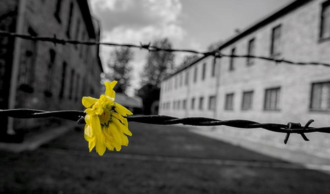 Ricordare attraverso il cinema