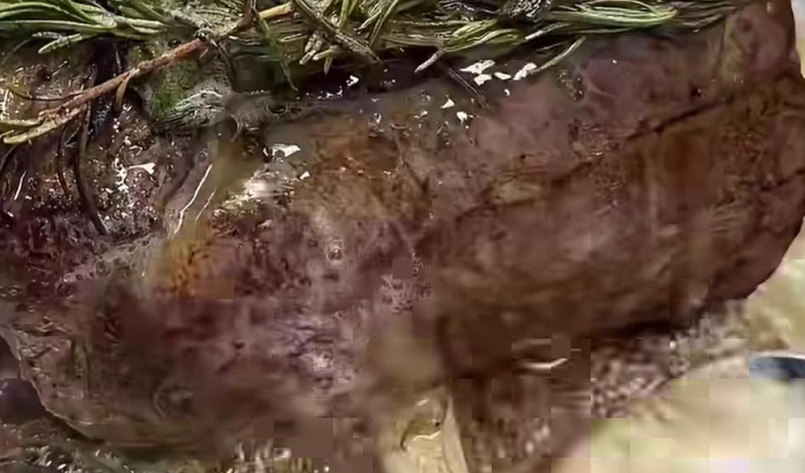 FILETTO DI MAIALE SENAPE E MIELE