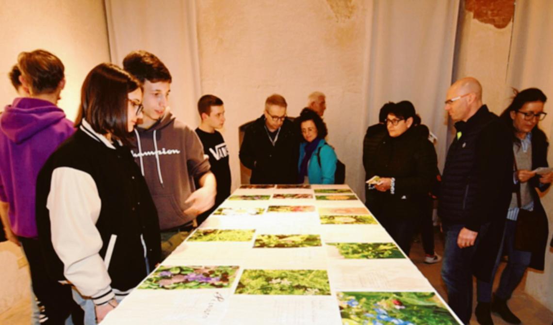 L’ambiente a scuola diventa arte