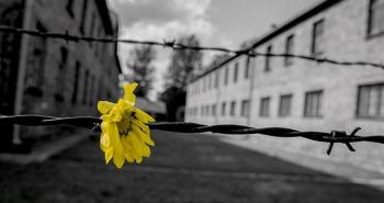 Ricordare attraverso il cinema