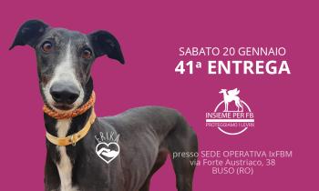  41° Entrega dei Levrieri FBM adottati