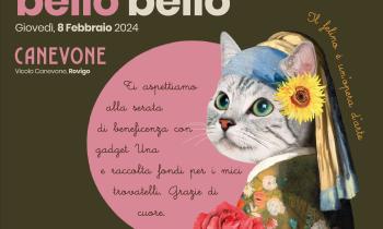 Aperitivo Bello Bello