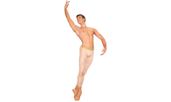 Roberto Bolle and Friends