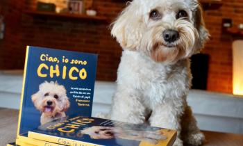 Firmacopie con Chico