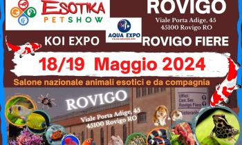 Esotika Pet Show a Rovigo