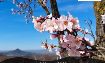 Il Gran Tour Dei Mandorli In Fiore con trekkin2thewild