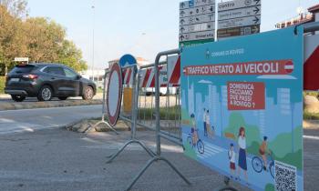 Domeniche ecologiche: presentazione progetto educativo  “Tre onde in mare, Delta del Po” 