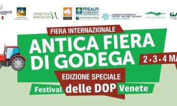 Antica fiera di Godega