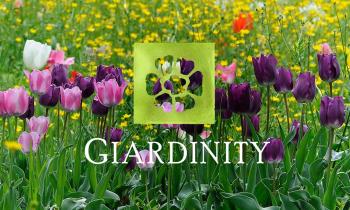 Giardinity primavera 2024 - I bulbi di Evelina Pisani