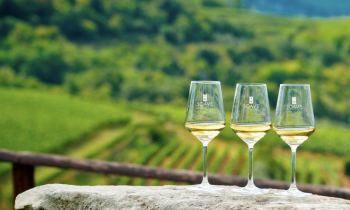 Festa medievale del vino bianco a Soave