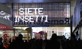"Siete insetti": dallo shock alla scoperta di una campagna Netflix