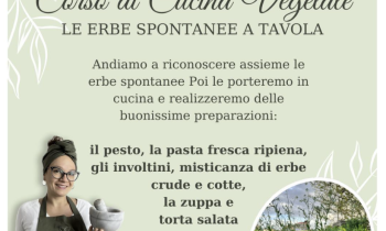 Corso di cucina vegetale - Le erbe spontanee a tavola 