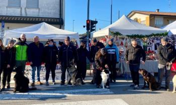 UNA SFILATA PER GLI AMICI A QUATTRO ZAMPE