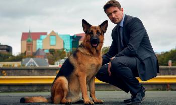 Addio a Rex: il cane-attore lascia il palcoscenico