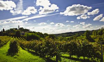 Giornata Regionale dei Colli Veneti: celebrazione del nostro patrimonio naturale e culturale
