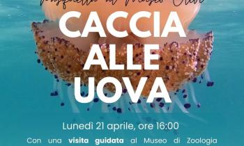 Pasquetta al museo Olivi