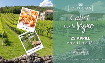 Calici tra le vigne