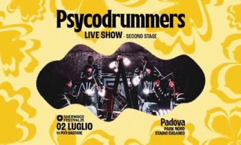 Sherwood Festival - Psycodrummers