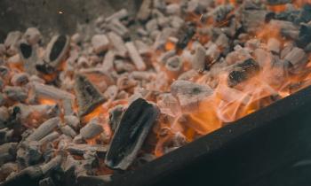 Buffalo Food Festival