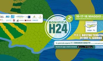 Bonifica H24