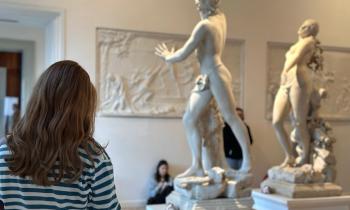 Musei in festa (Venezia)