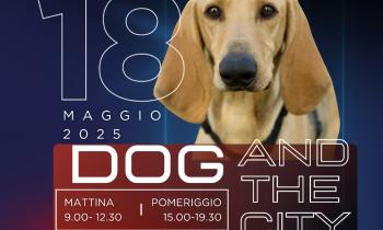 Torna DOG AND THE CITY , la tradizionale "Festa del cagnolino" in una versione più ricca!