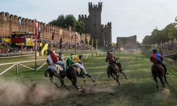 Palio dei 10 Comuni del Montagnanese