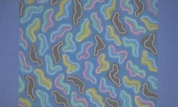 Nicola Furlan: Luci e colori filtrati