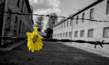 Ricordare attraverso il cinema