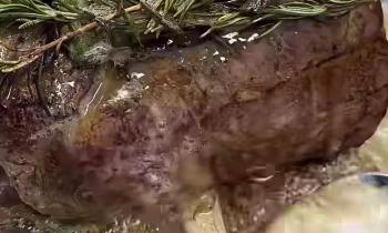 FILETTO  IN CROSTA CROCCANTE